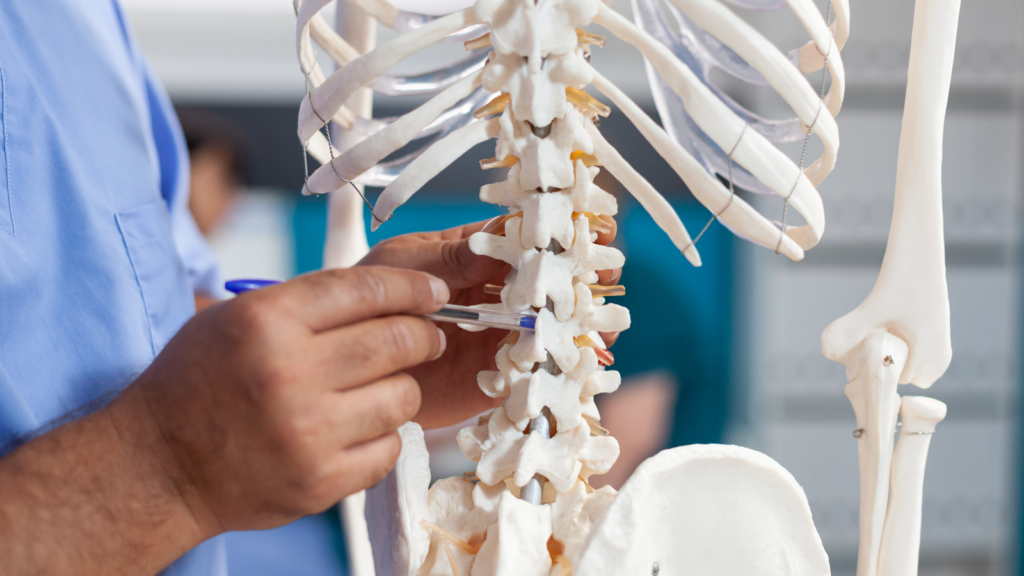 chiropractic_adjustments_can_help_prevent_sports_injuries